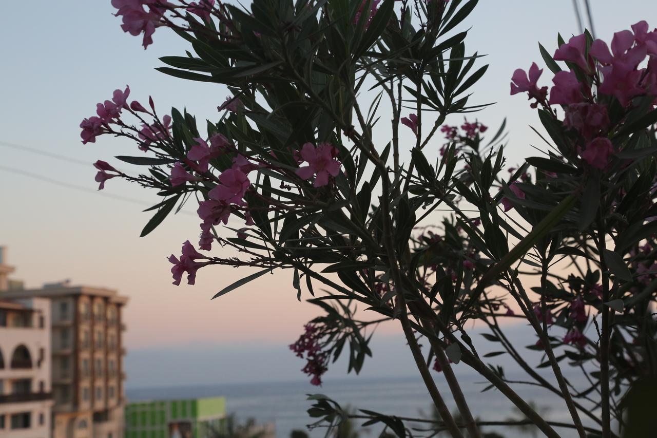 Kasgar Court Hotel Agia Varvara ภายนอก รูปภาพ