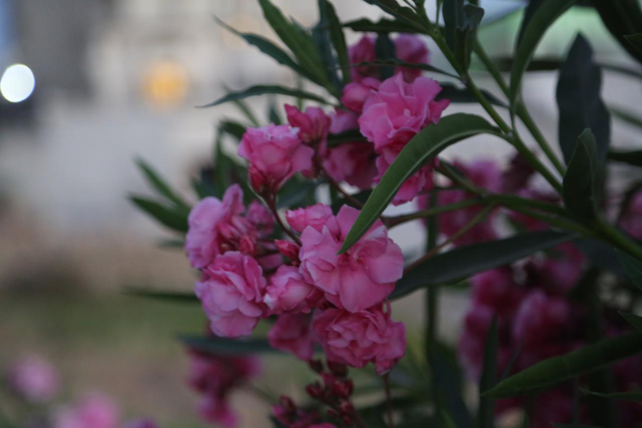 Kasgar Court Hotel Agia Varvara ภายนอก รูปภาพ